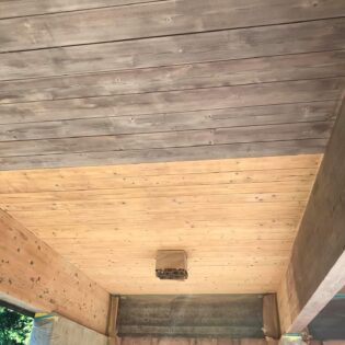 98479150_626097941329032_6583525866460938240_n